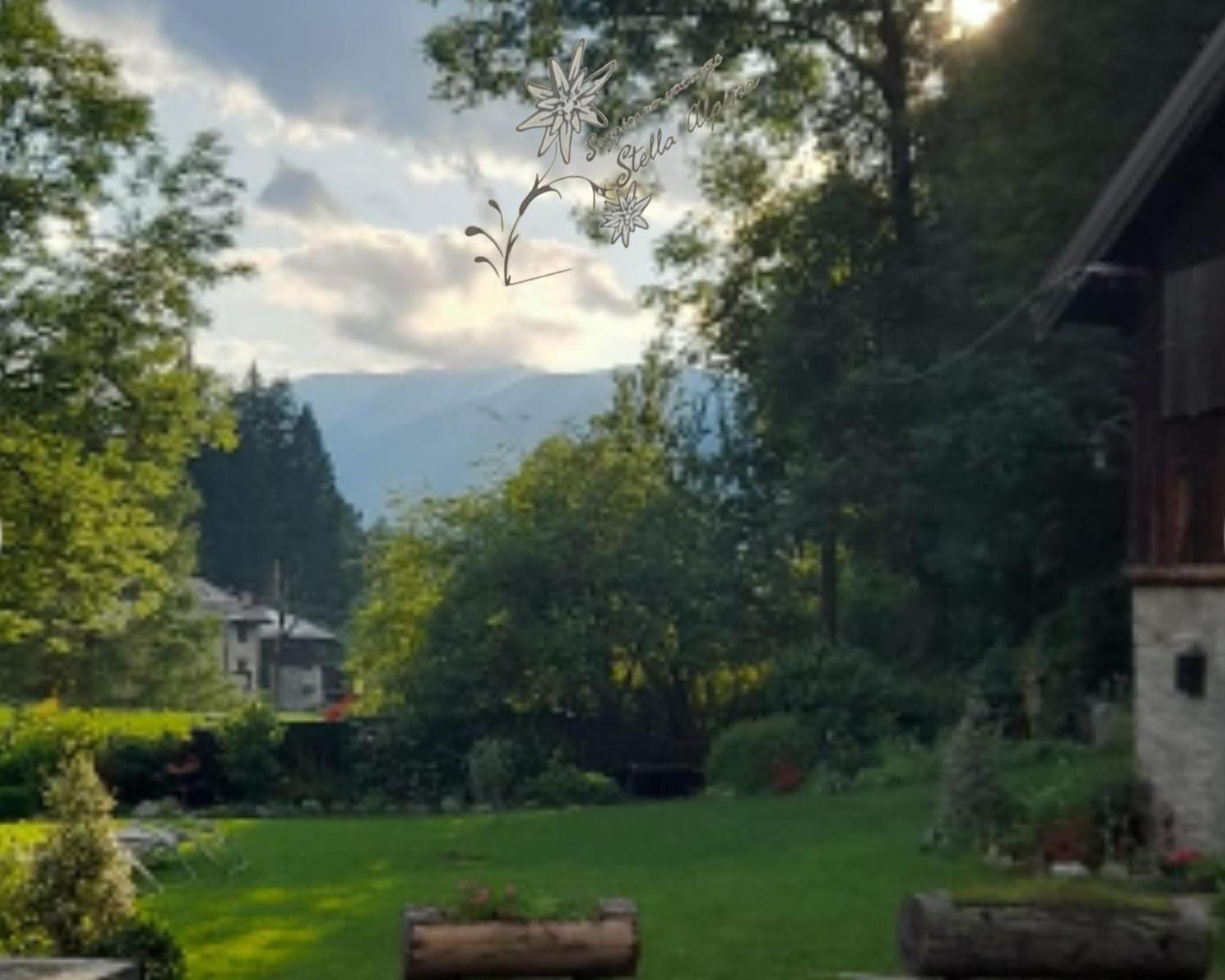 Soggiorno Vacanze Stella Alpina Temù Pokoj fotografie
