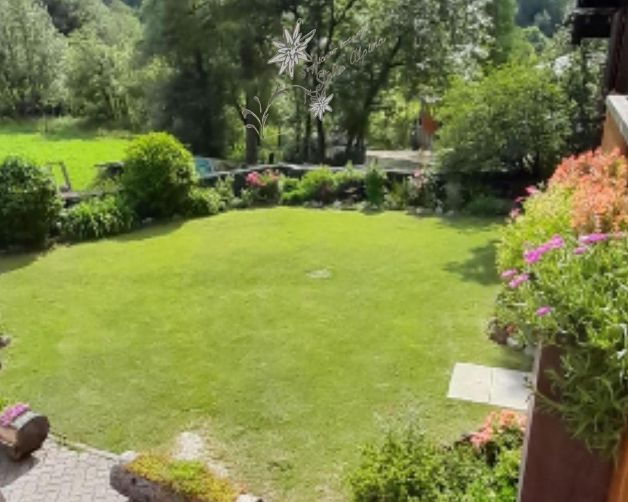 Soggiorno Vacanze Stella Alpina Temù Pokoj fotografie