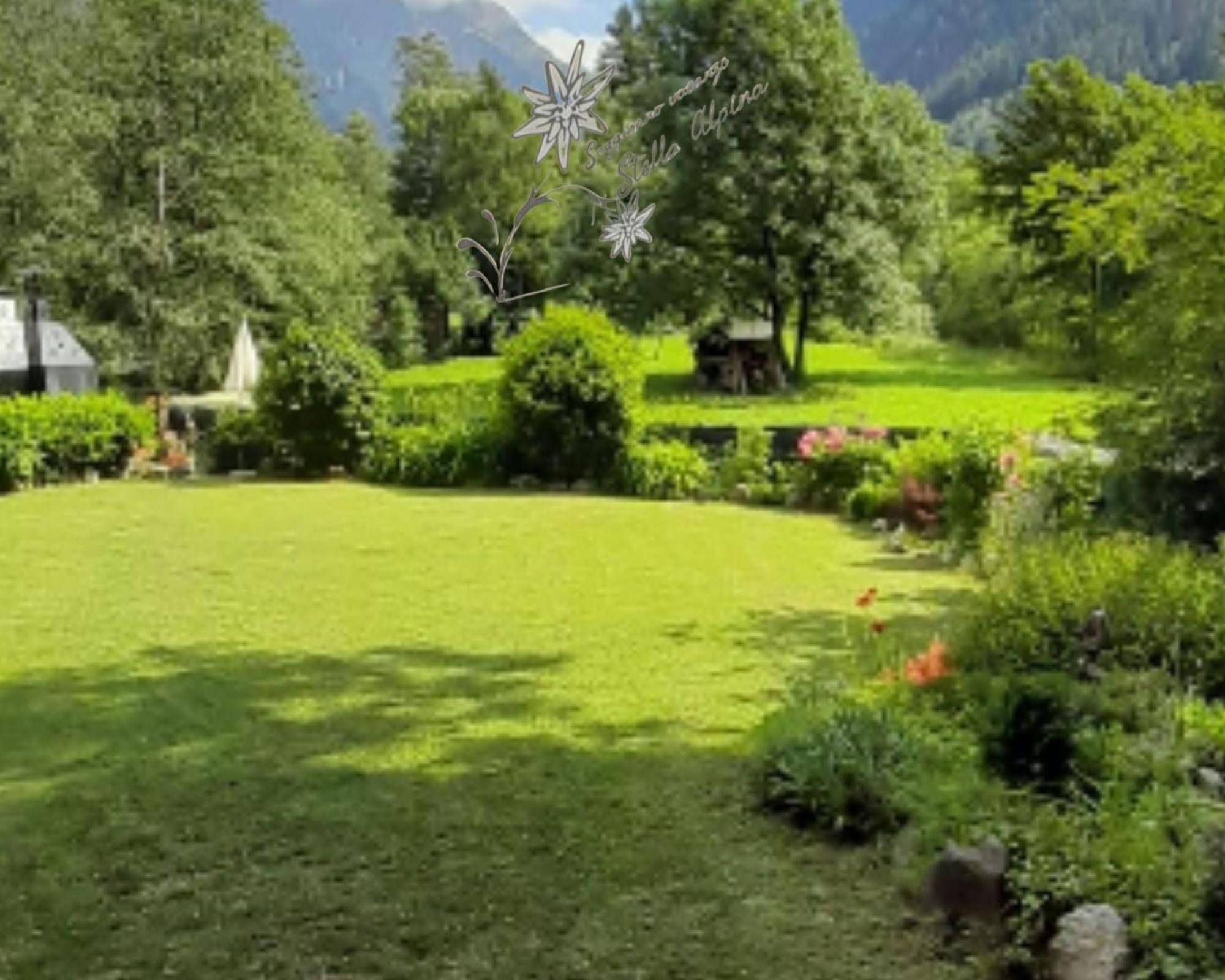 Soggiorno Vacanze Stella Alpina Temù Exteriér fotografie